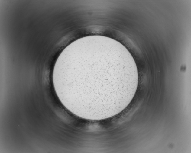 X0000102860262200809151218