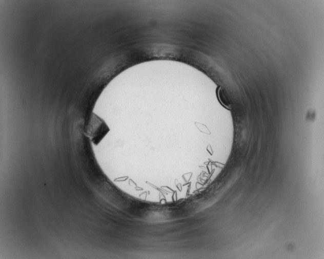 X0000102860263200809151218