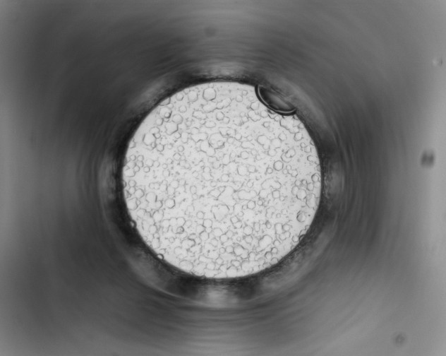 X0000102860264200809151218