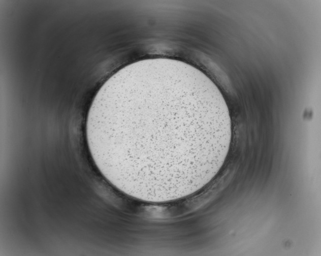 X0000102860265200809151218