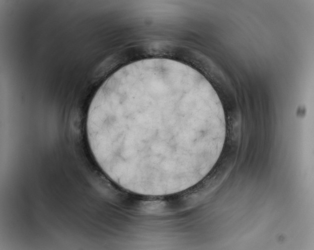 X0000102860266200809151218