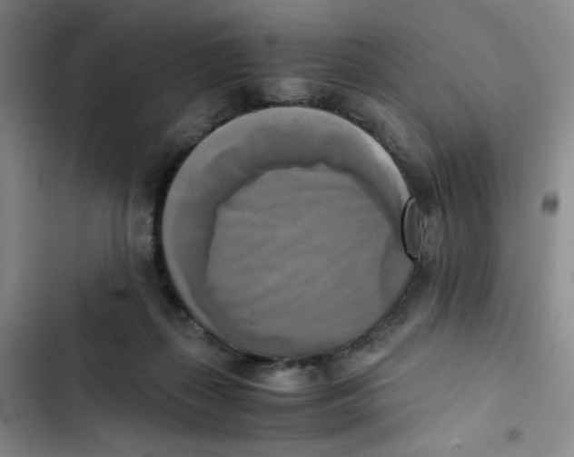 X0000102860267200809151218
