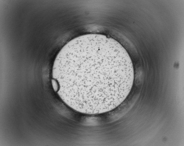 X0000102860268200809151218