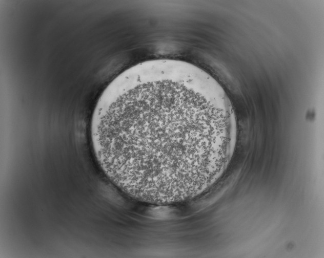 X0000102860269200809151218