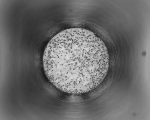 X0000102860270200809151218