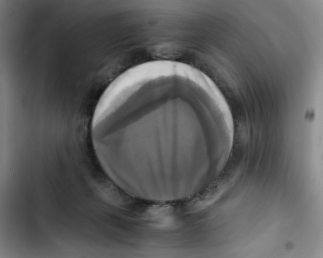 X0000102860271200809151218
