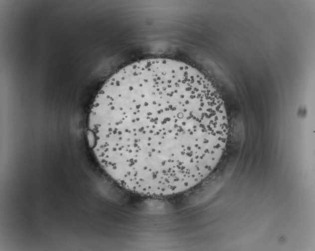 X0000102860272200809151218