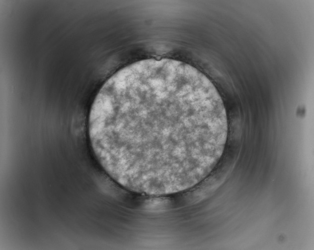 X0000102860274200809151218