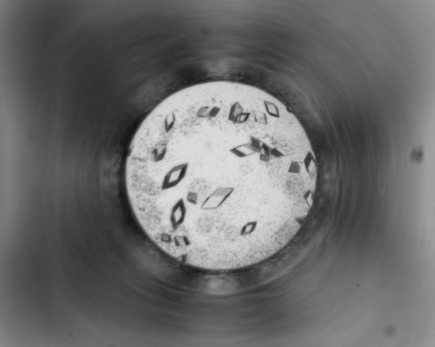 X0000102860275200809151218