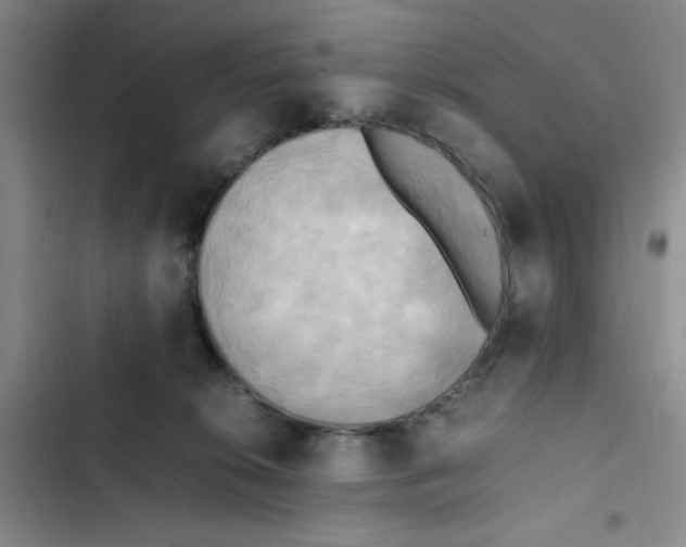 X0000102860276200809151218