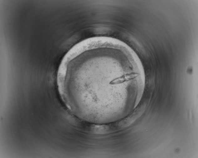 X0000102860277200809151218