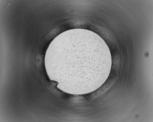 X0000102860278200809151218