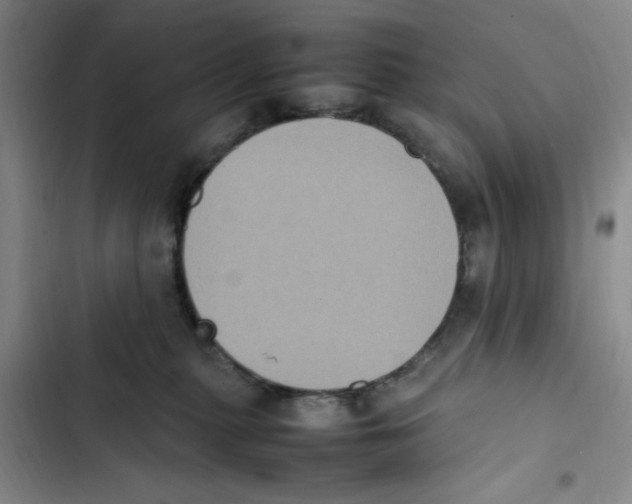 X0000102860279200809151218