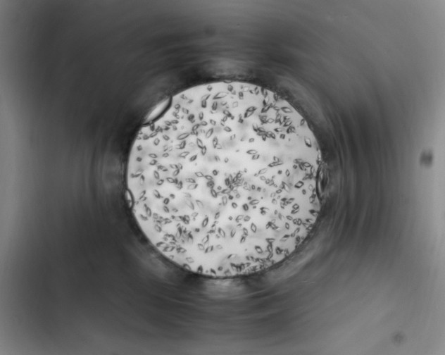 X0000102860281200809151219