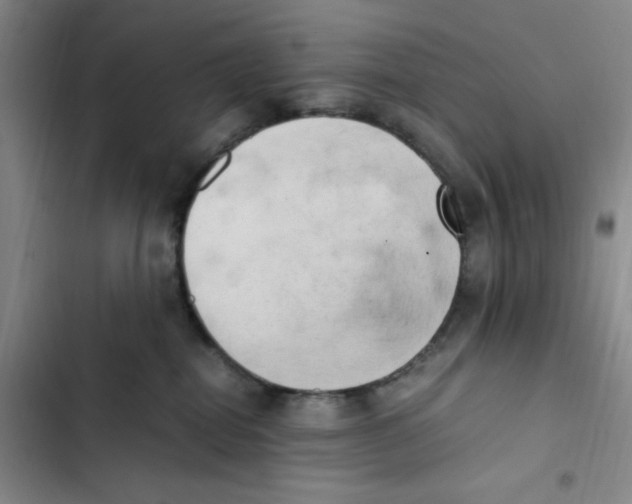 X0000102860282200809151219