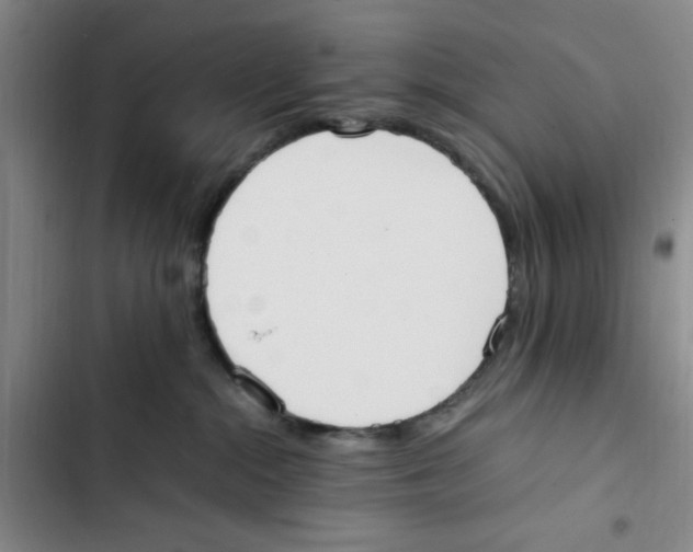 X0000102860284200809151219