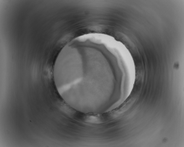 X0000102860285200809151219