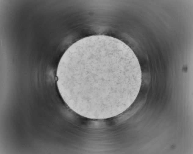 X0000102860286200809151219
