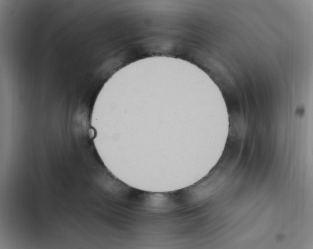 X0000102860287200809151219