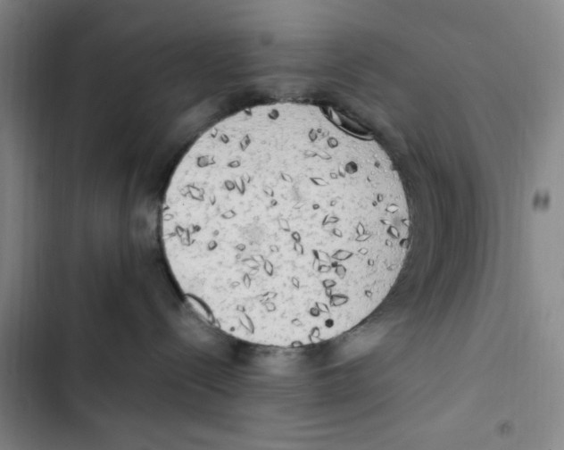 X0000102860288200809151219