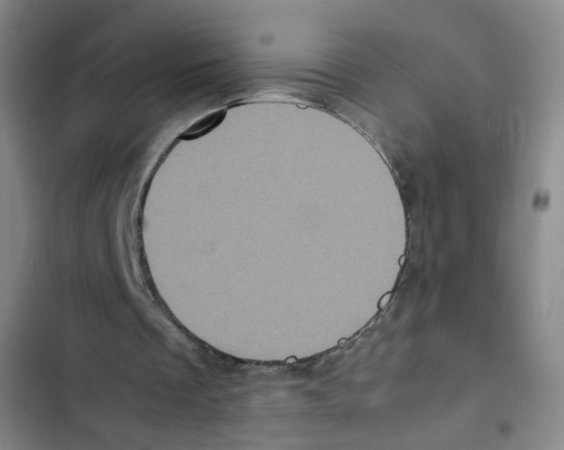 X0000102860289200809151218