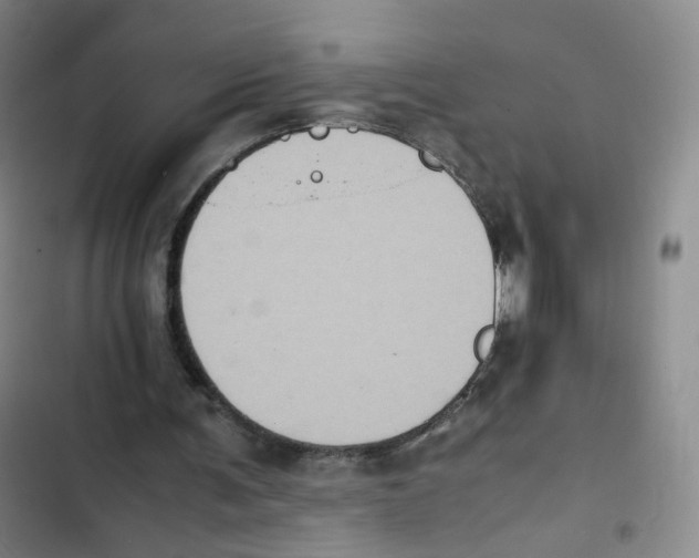 X0000102860291200809151218