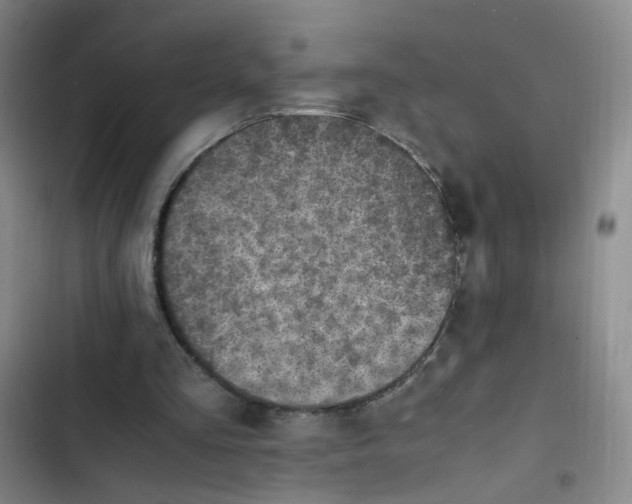 X0000102860293200809151218