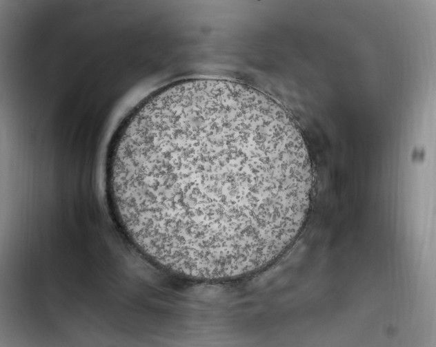 X0000102860294200809151218