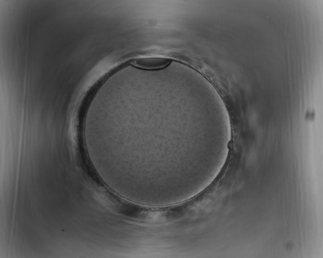 X0000102860295200809151218