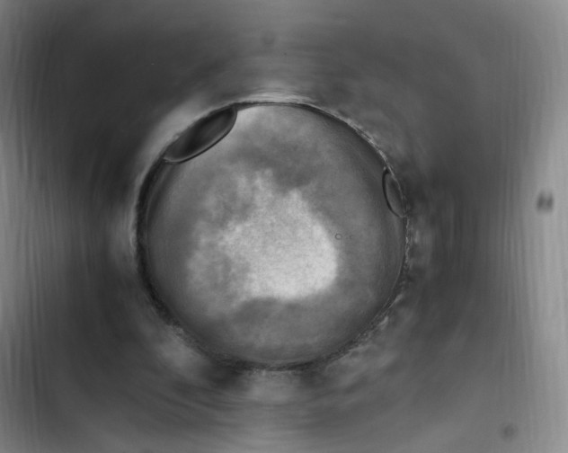 X0000102860296200809151218