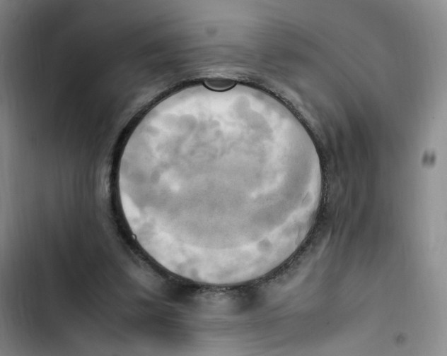 X0000102860299200809151218