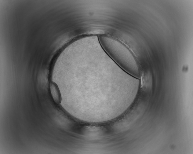 X0000102860300200809151218
