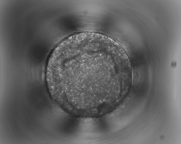 X0000102860301200809151218