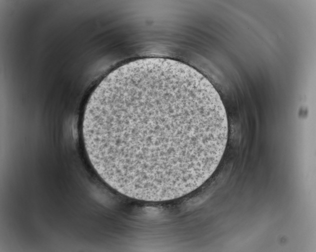 X0000102860302200809151218