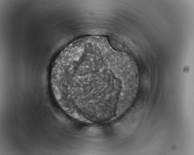X0000102860303200809151218