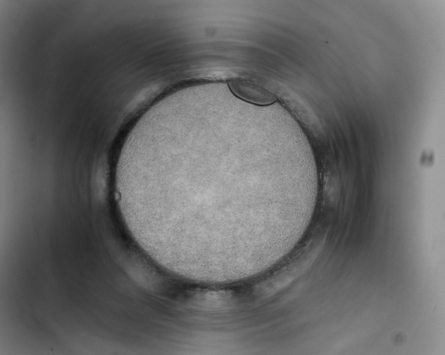 X0000102860304200809151218