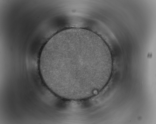 X0000102860305200809151218