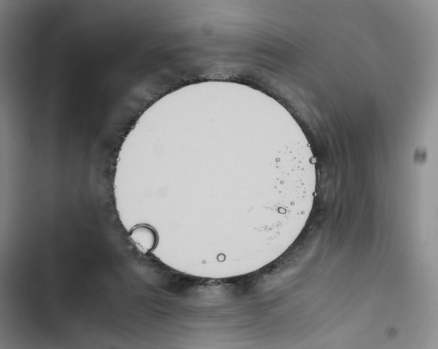 X0000102860307200809151218
