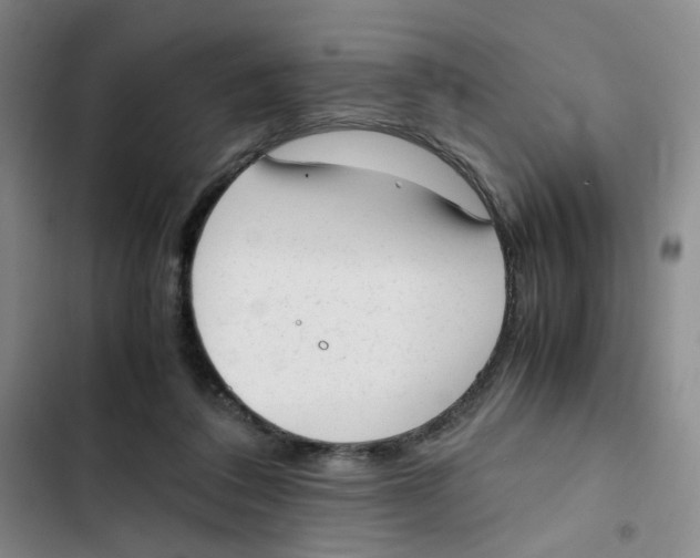 X0000102860308200809151218