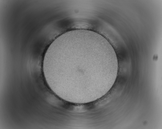 X0000102860309200809151218