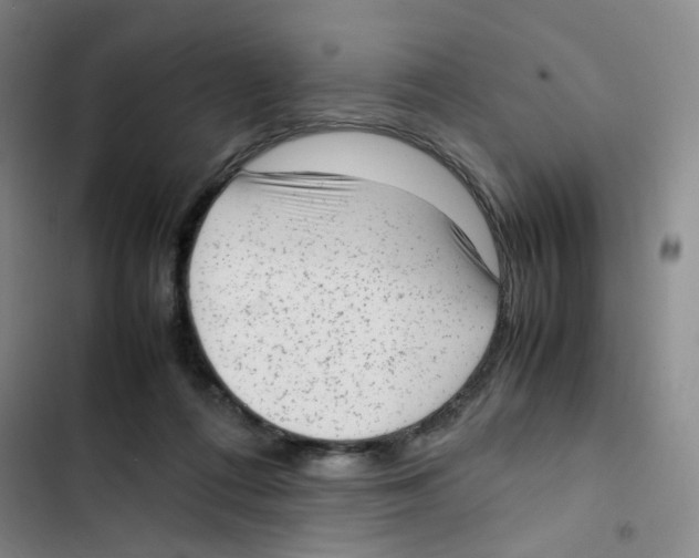 X0000102860312200809151218