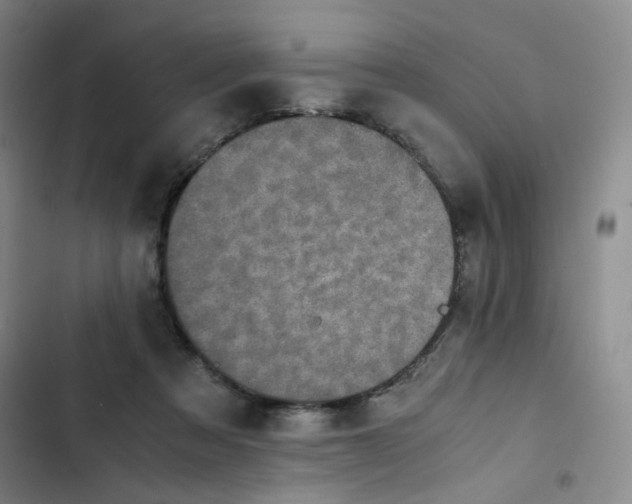 X0000102860313200809151218