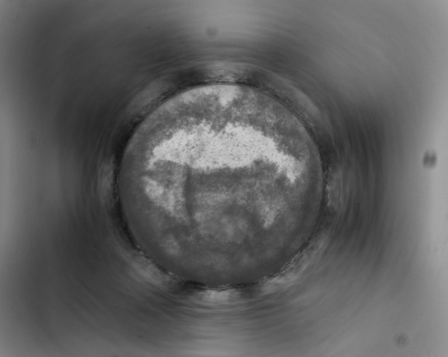 X0000102860314200809151217