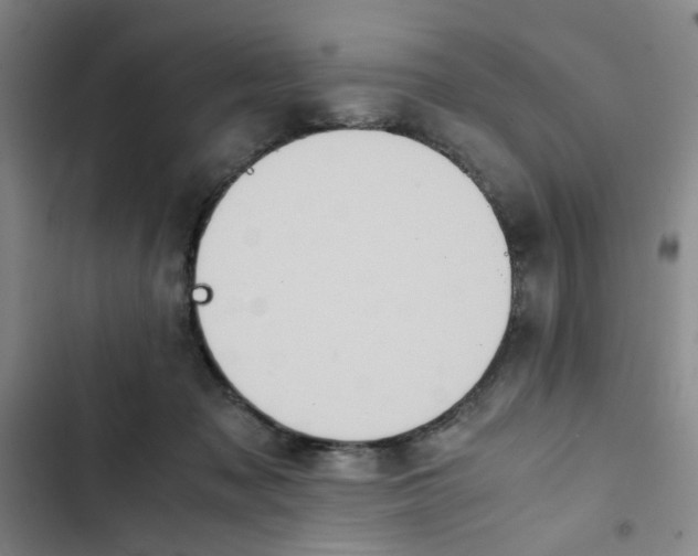 X0000102860317200809151217