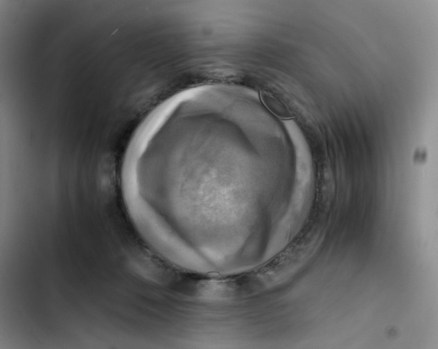 X0000102860320200809151217