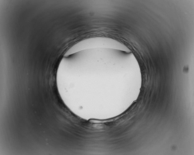 X0000102860324200809151217