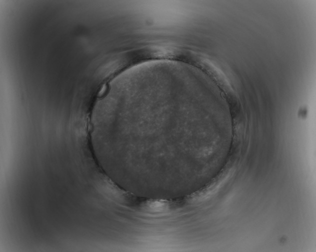 X0000102860325200809151217