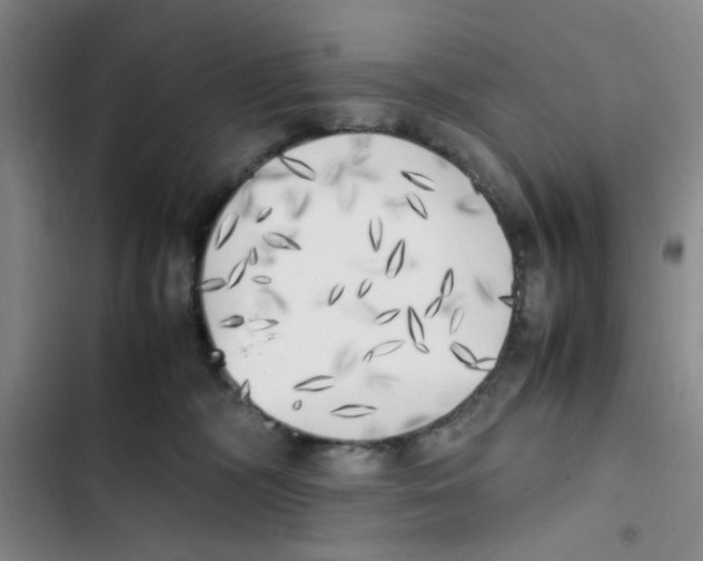 X0000102860326200809151217