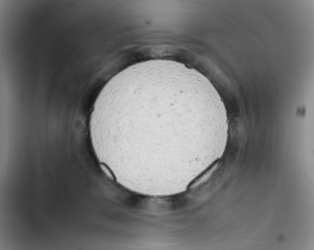 X0000102860327200809151217