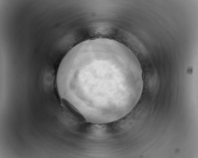 X0000102860328200809151217